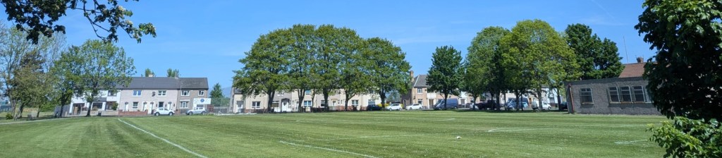 Houses and park in Grangemouth.